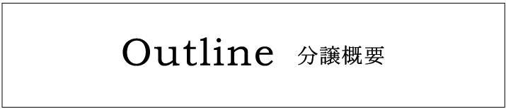 分譲概要
